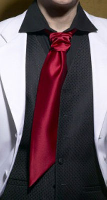 Cranberry - Satin Tie