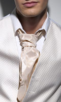 Shimmer Tie